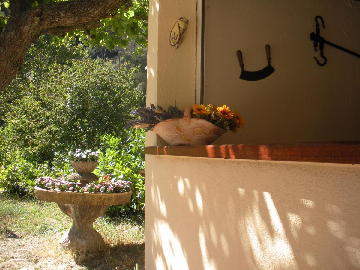 Lou Mas Dau Paigran Bed & Breakfast Saint-Blaise  Luaran gambar
