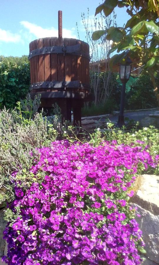 Lou Mas Dau Paigran Bed & Breakfast Saint-Blaise  Luaran gambar